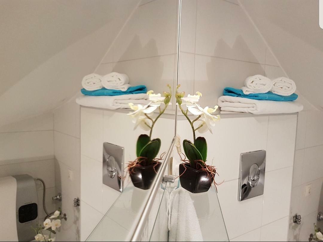 Studio Apartment Lily โรวีน ภายนอก รูปภาพ